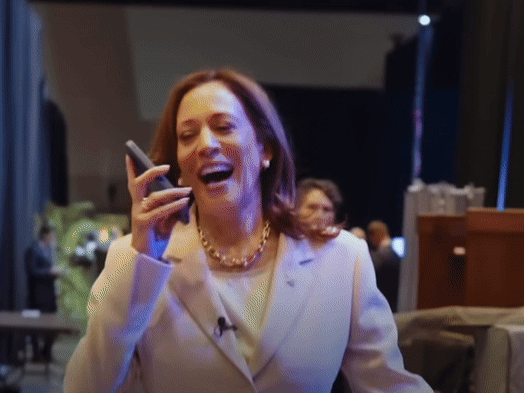 kamala.gif