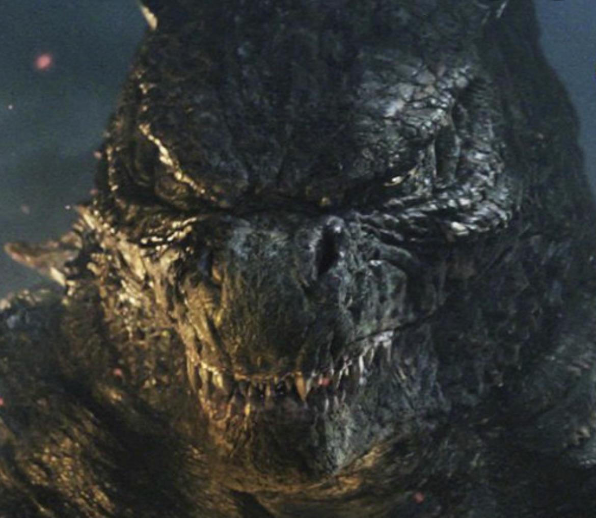 Godzilla's eyes...are beautiful : r/Monsterverse