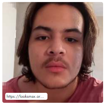 3375880_1682417582147.png