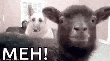 Meh Goat GIF by MOODMAN