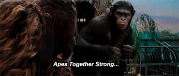 tumblr_nb5lrs02NY1tgbziwo4_400.gif