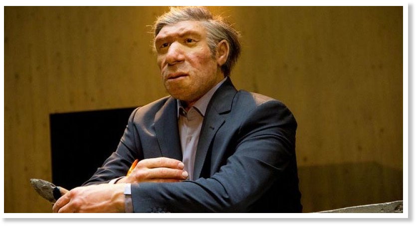 Neanderthal_Museum_Clemens_Vas.jpg