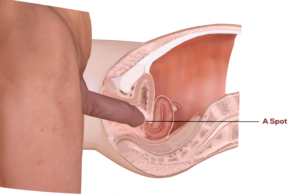 Types of Female Orgasm | Learn all about Female Orgasms | kamorii.com