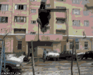 giphy.gif