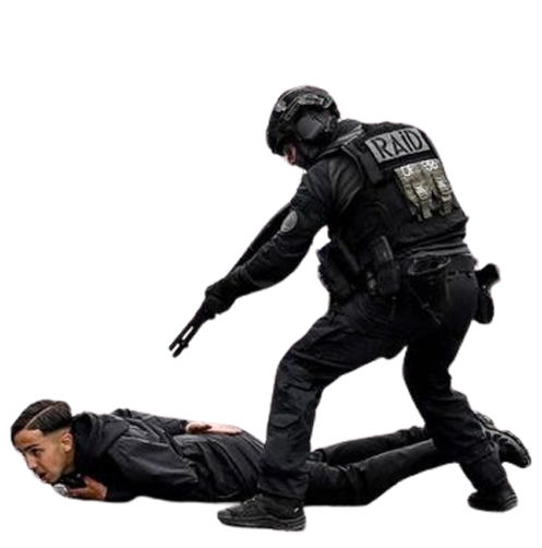 1688151938-interpelled.png