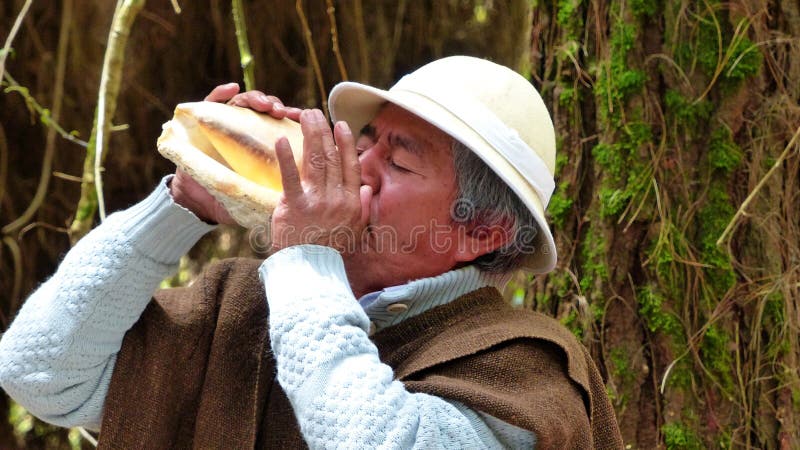 quechua-man-playing-using-sea-shell-cuenca-ecuador-september-music-sacred-ceremony-andean-people-called-chacana-221683900.jpg