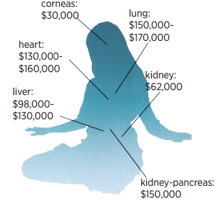 10 Quick Facts About Forced Organ Harvesting Against Falun Gong in China -  Friends of Falun Gong