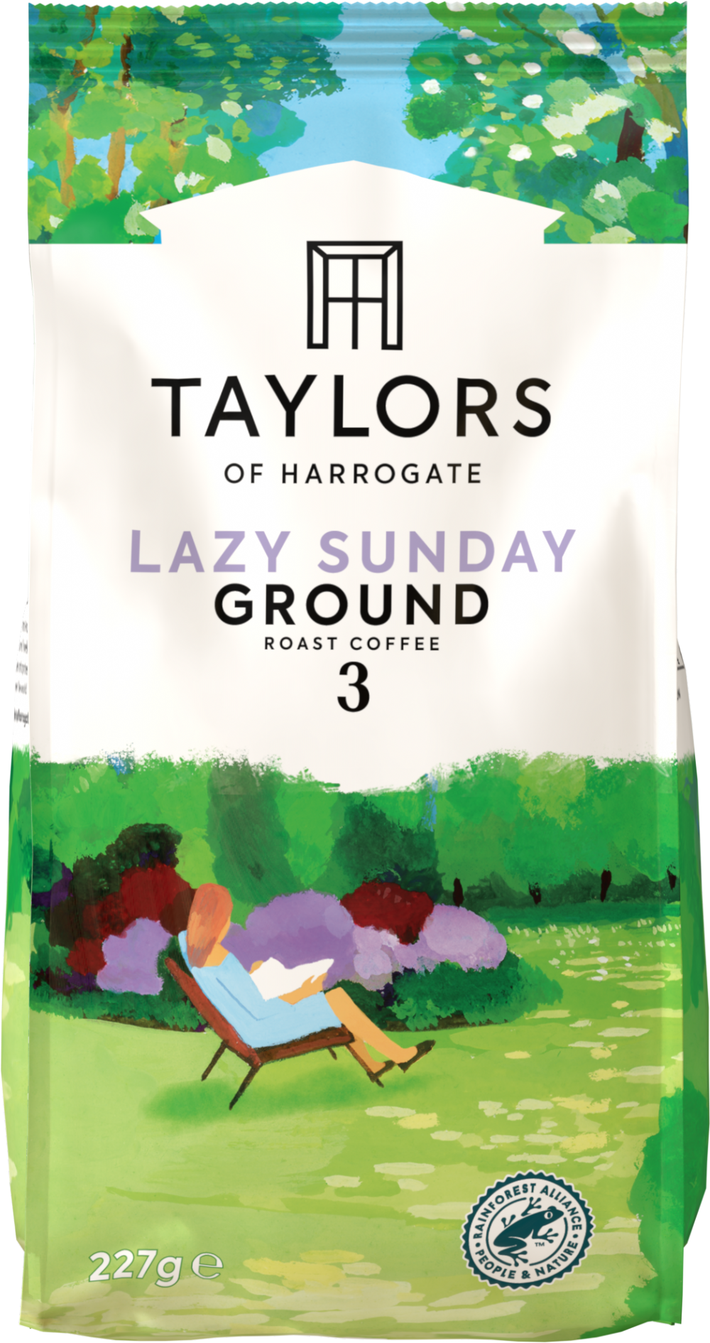 1000_tay241.png