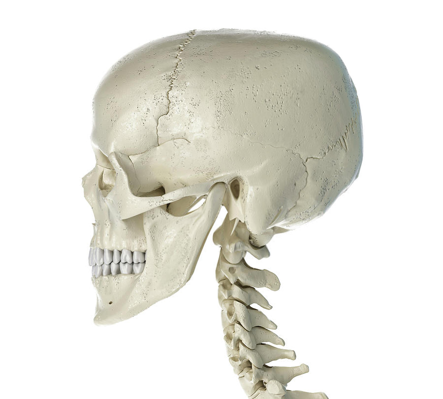 A70yIjj.jpg