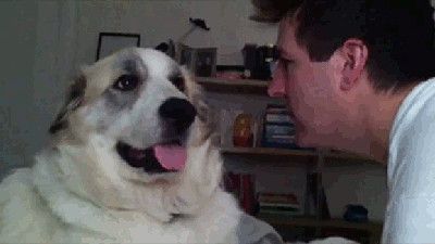 tumblr_miqv4no2lr1rjlk07o1_400.gif