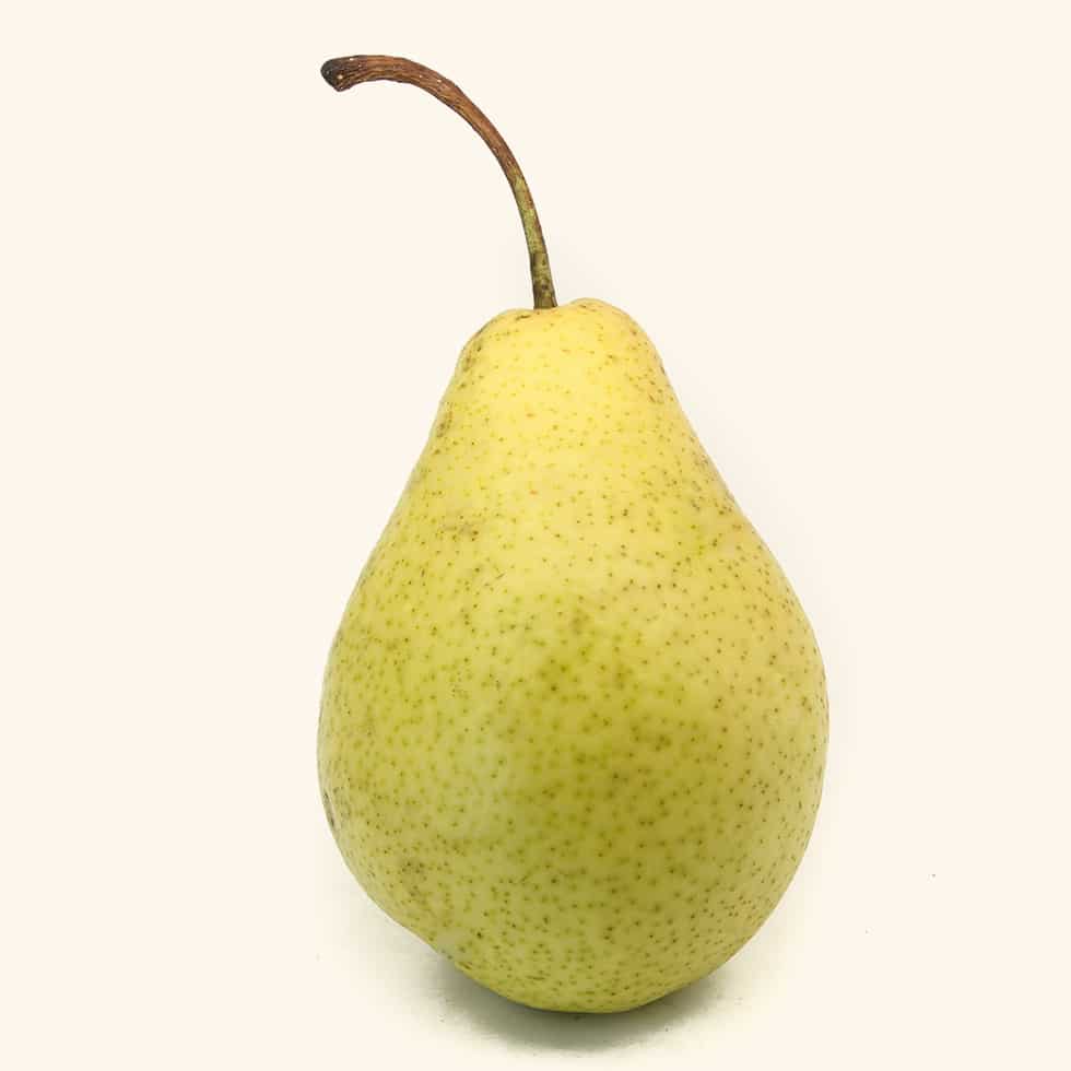 poirier-southworth-pear-tree-f1.jpg