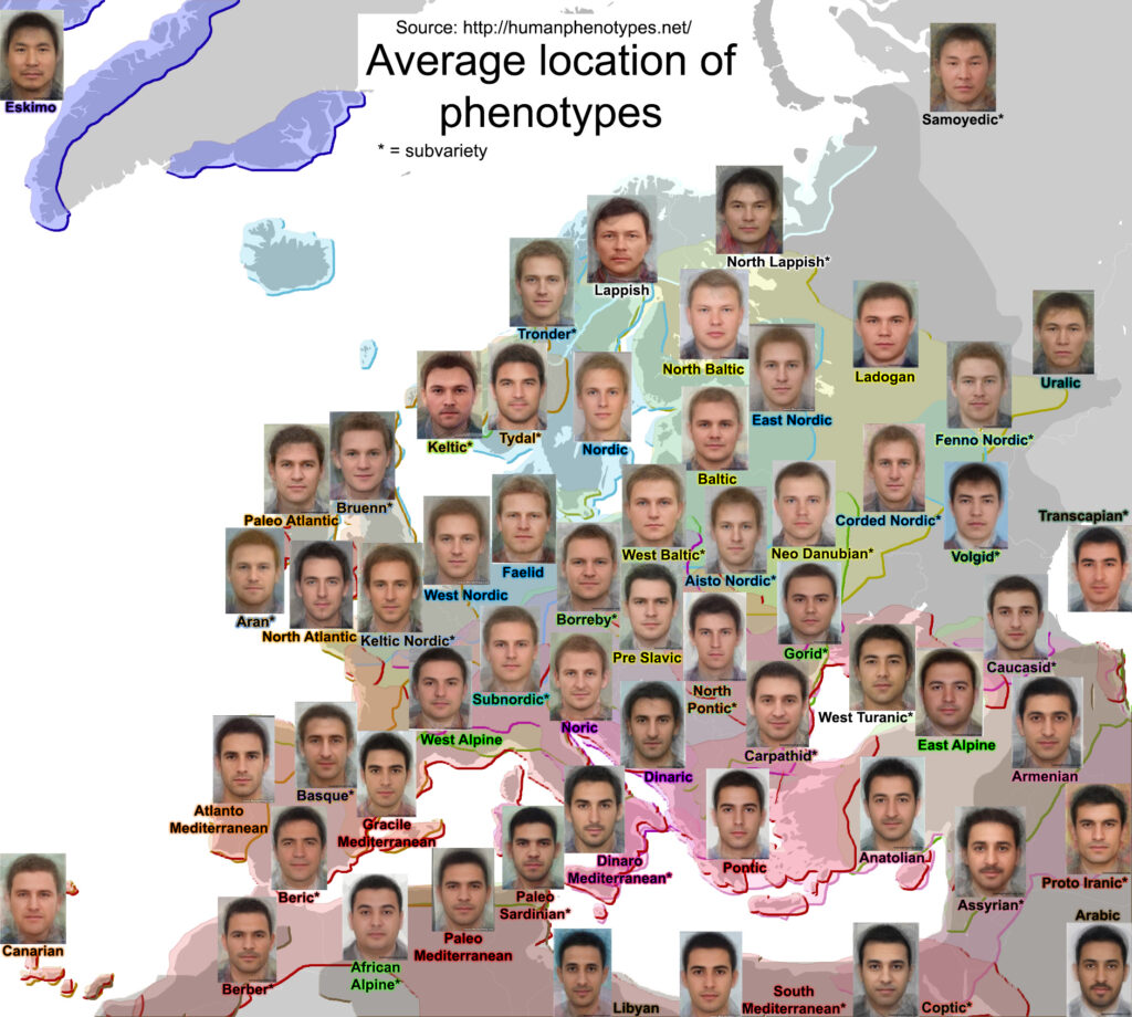 phenotypes-men-1024x920.jpg
