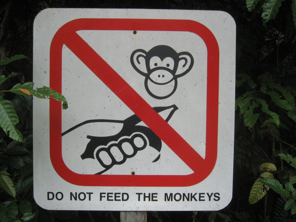 Don't Feed The Monkeys! 3 Ways To Help People Solve Their Own ...