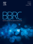 www.sciencedirect.com
