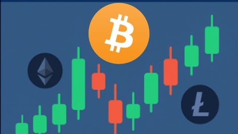 www.udemy.com