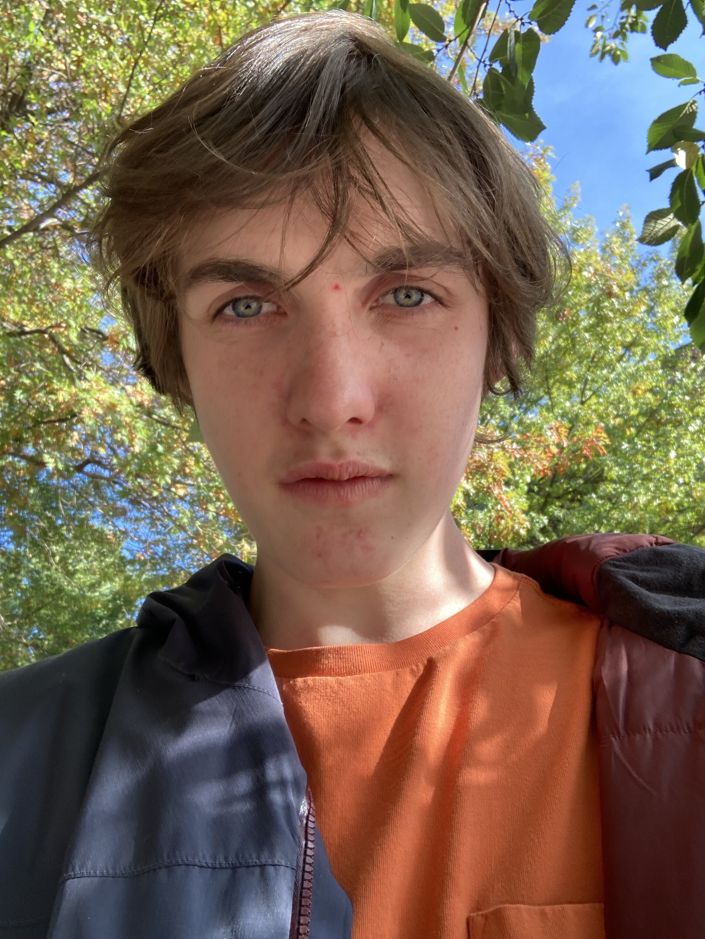 2703304_1642655813389.jpeg