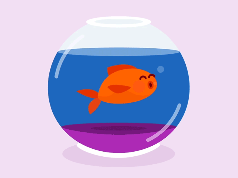 456909d07b982066780fab980e2d341b.gif