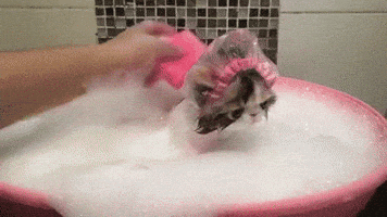 200.gif