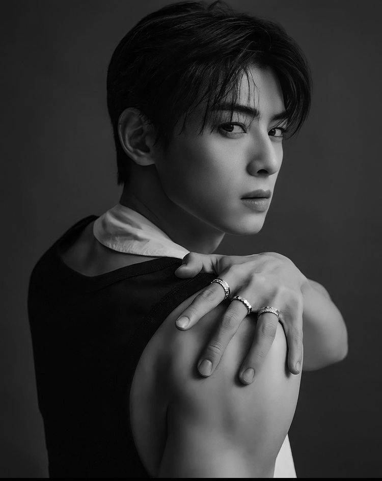 cha-eunwoo-bulk-up-lnrje0xq3ie53mmo.jpg