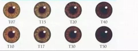 What is your eye color? What is your favorite eye color? - Quora