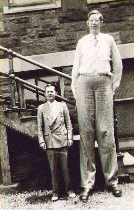 tallest_1528181813.jpg