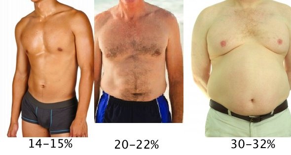 male-body-fat-2.jpg