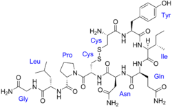 250px-Oxytocin-with-labels.png