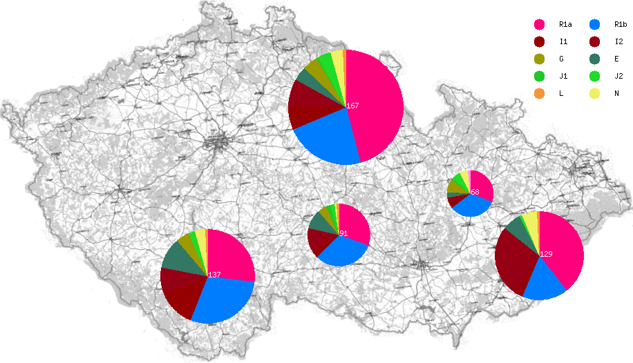 CYDNA Y-DNA in regions