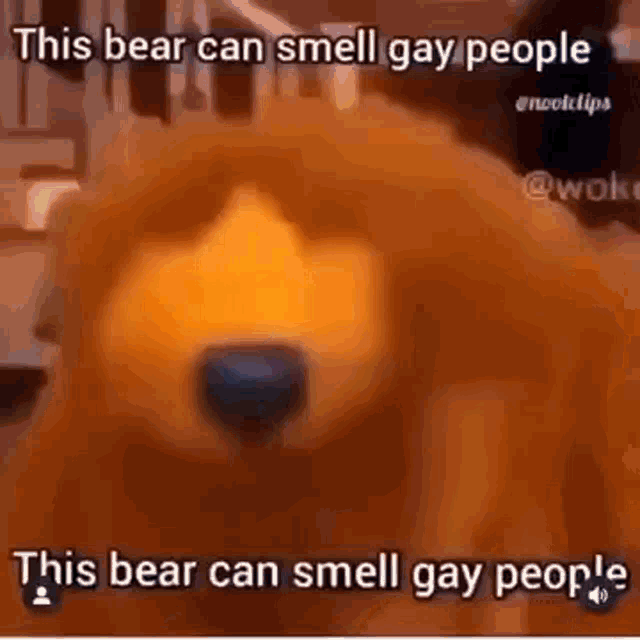 bear-gay.gif
