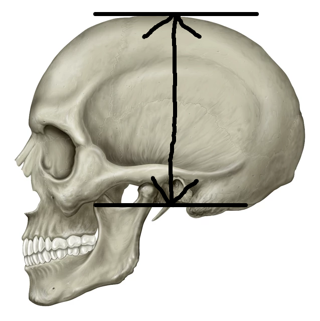 1754658215601