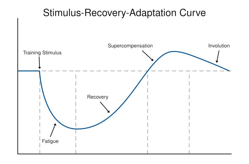 3 Program Design Principles to Maximize Muscle Recovery | Muscle & Strength