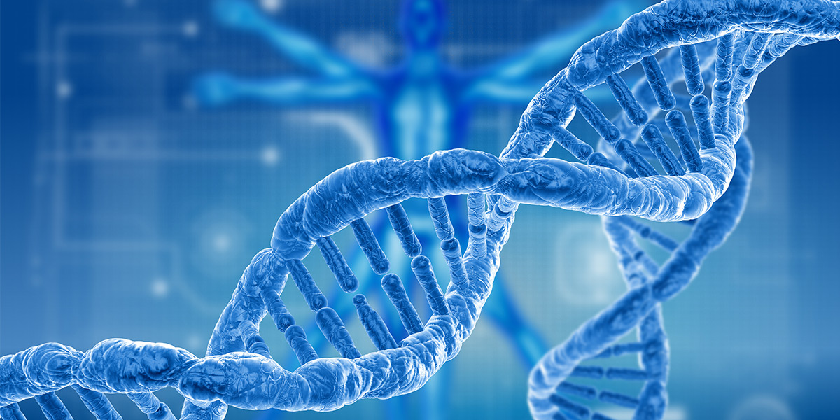 Genetics-bsc-banner.jpg