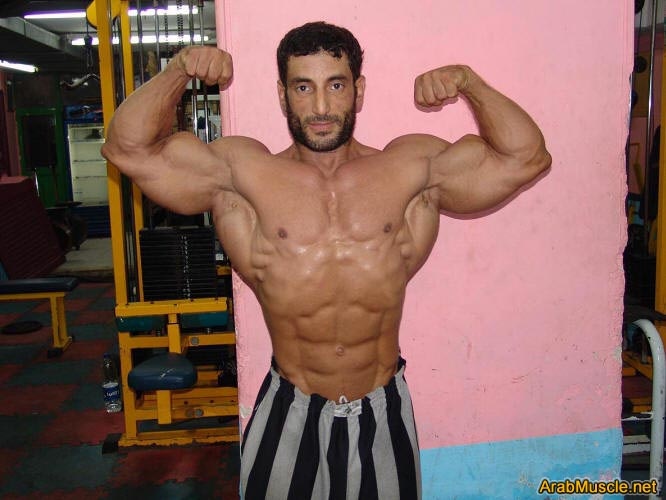 7a28054dc23cb2d6123ba3cdf0364020--biceps-bathing.jpg