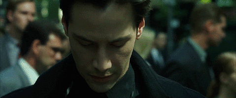 LC6e.gif