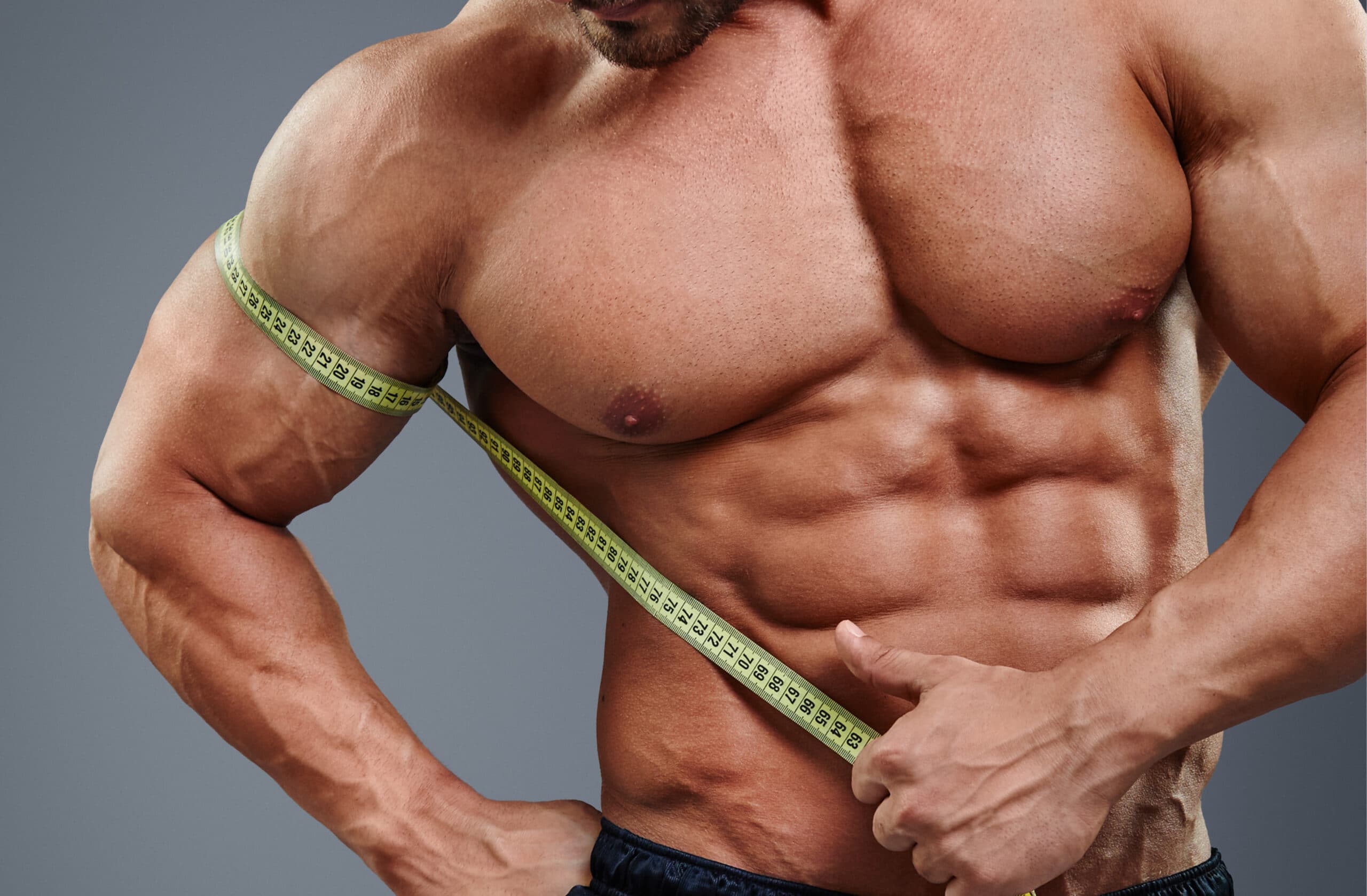 www.bodybuildingmealplan.com