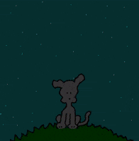 Good Morning GIF by Chippy the Dog