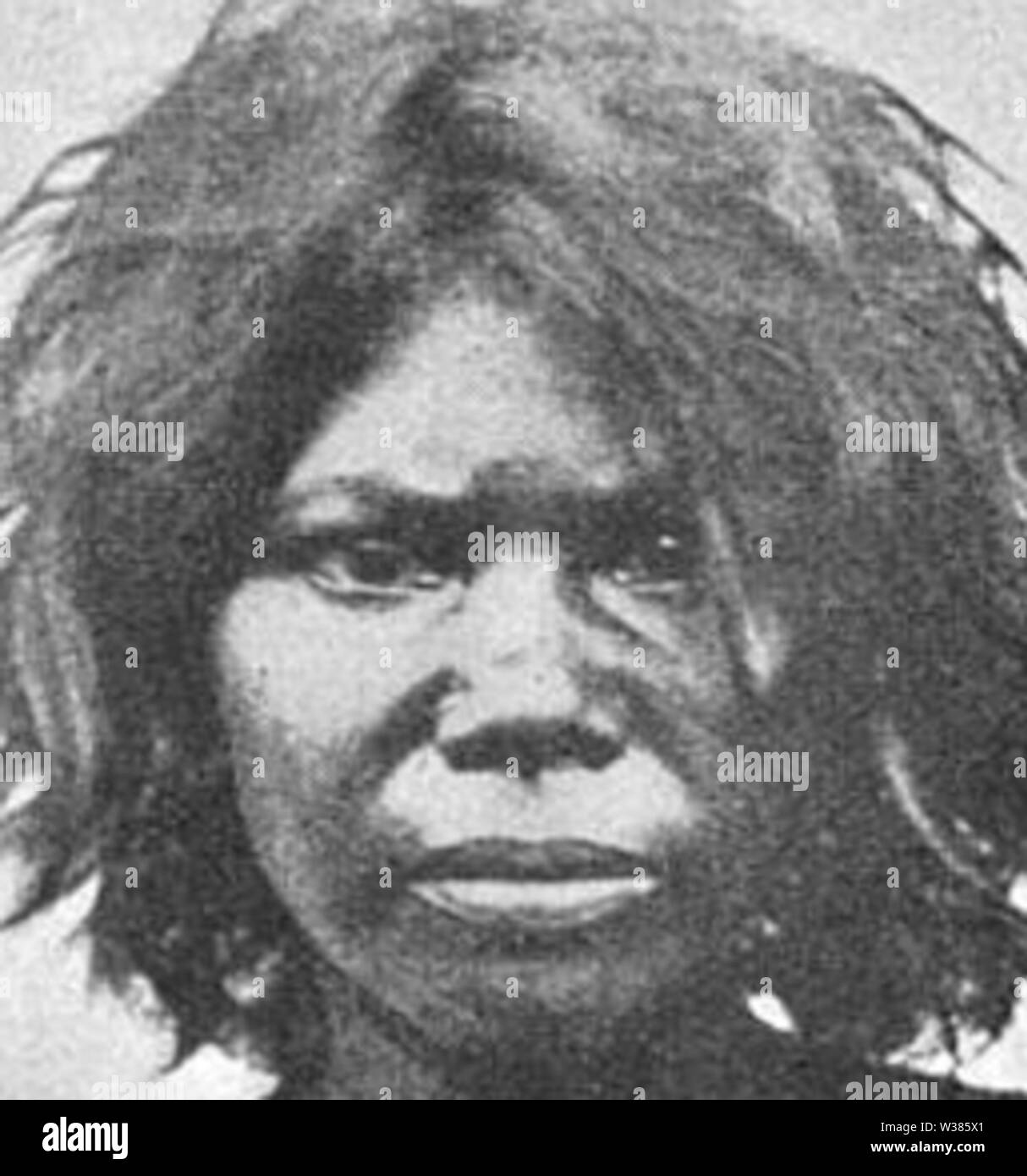 veddah-woman-of-sri-lanka-australoid-negrito-W385X1.jpg