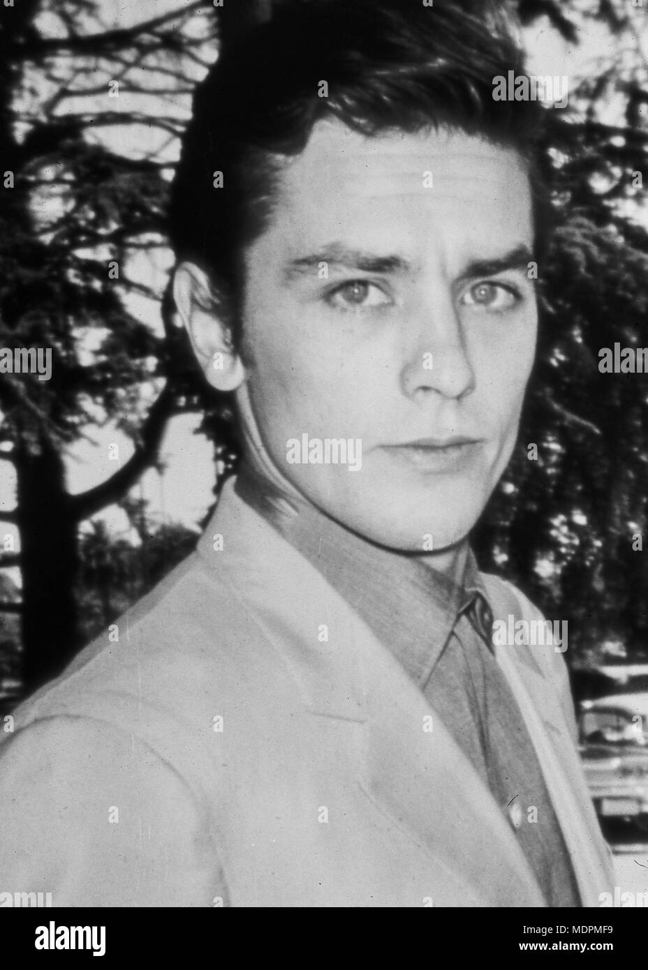 alain-delon-60s-MDPMF9.jpg