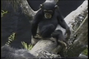 4b57631932dab072ad160ef4244b8444.gif