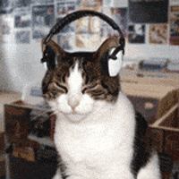 headphones GIF