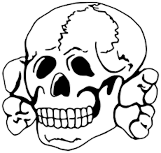 4969488_nazi_totenkopf.png