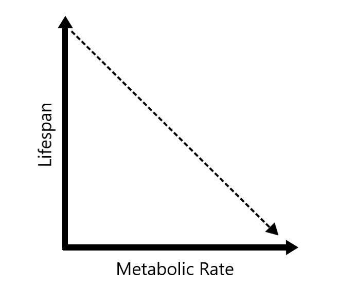 Rate_of_living_img.png