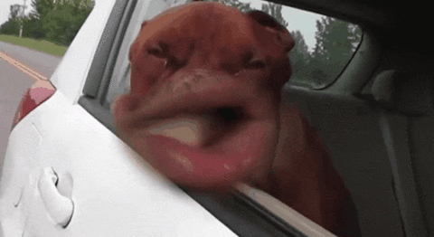 59ce667c5cb01232122c426168265bf2-gif.12349