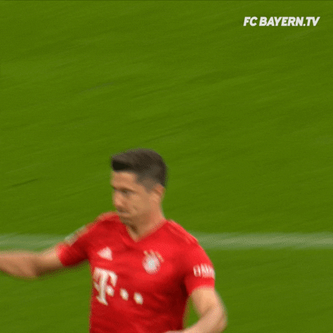 giphy.gif