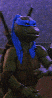 ninja turtle ready to fight GIF