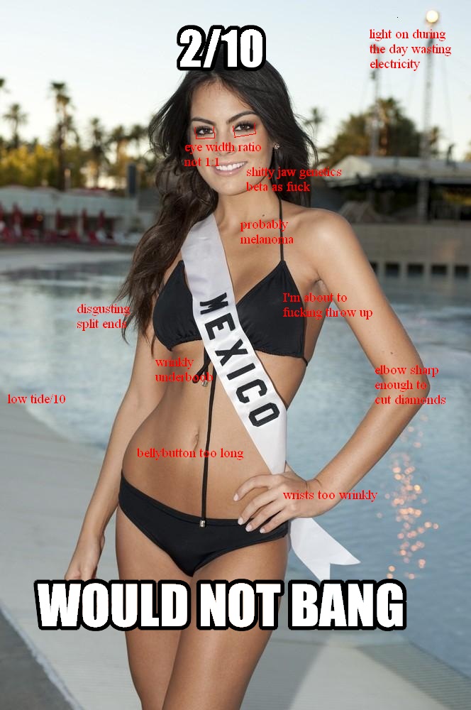 20d.jpg