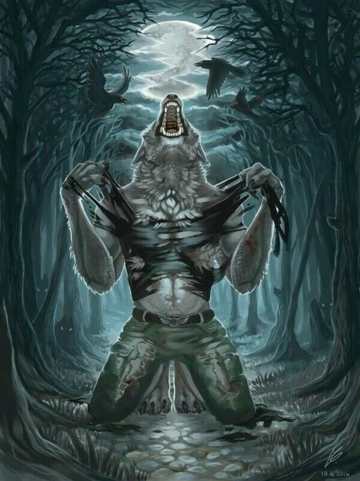 Sigma wolf