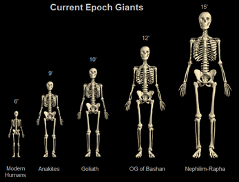 GiantSizes.png