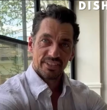 3753193_gandy.png