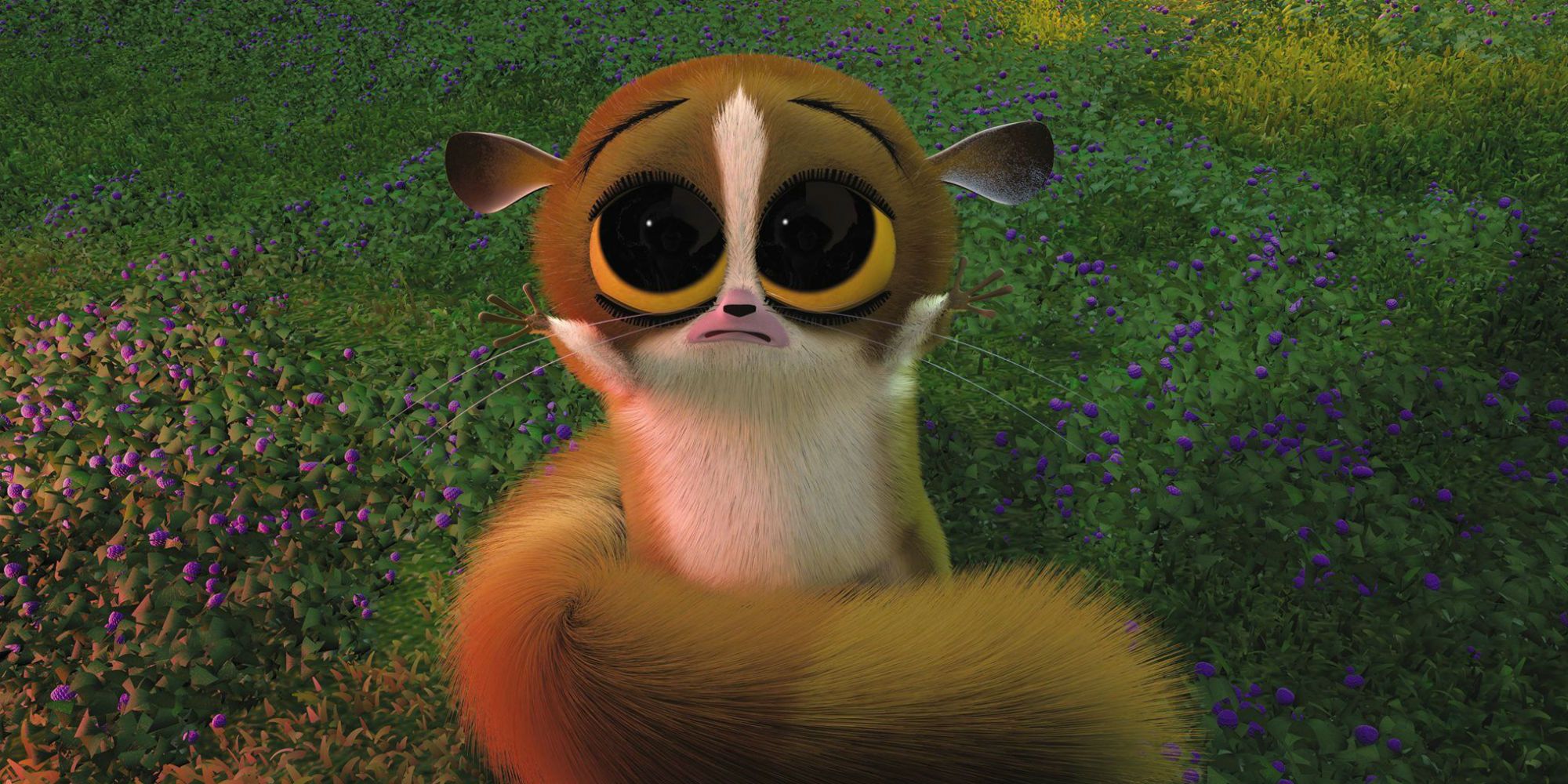 Madagascar-Mort.jpg